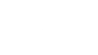 Big Will